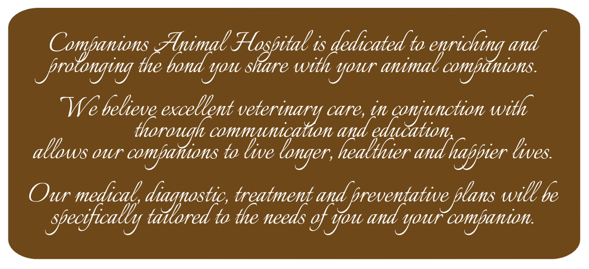 Plaque-Graphic Plaque-Graphic
